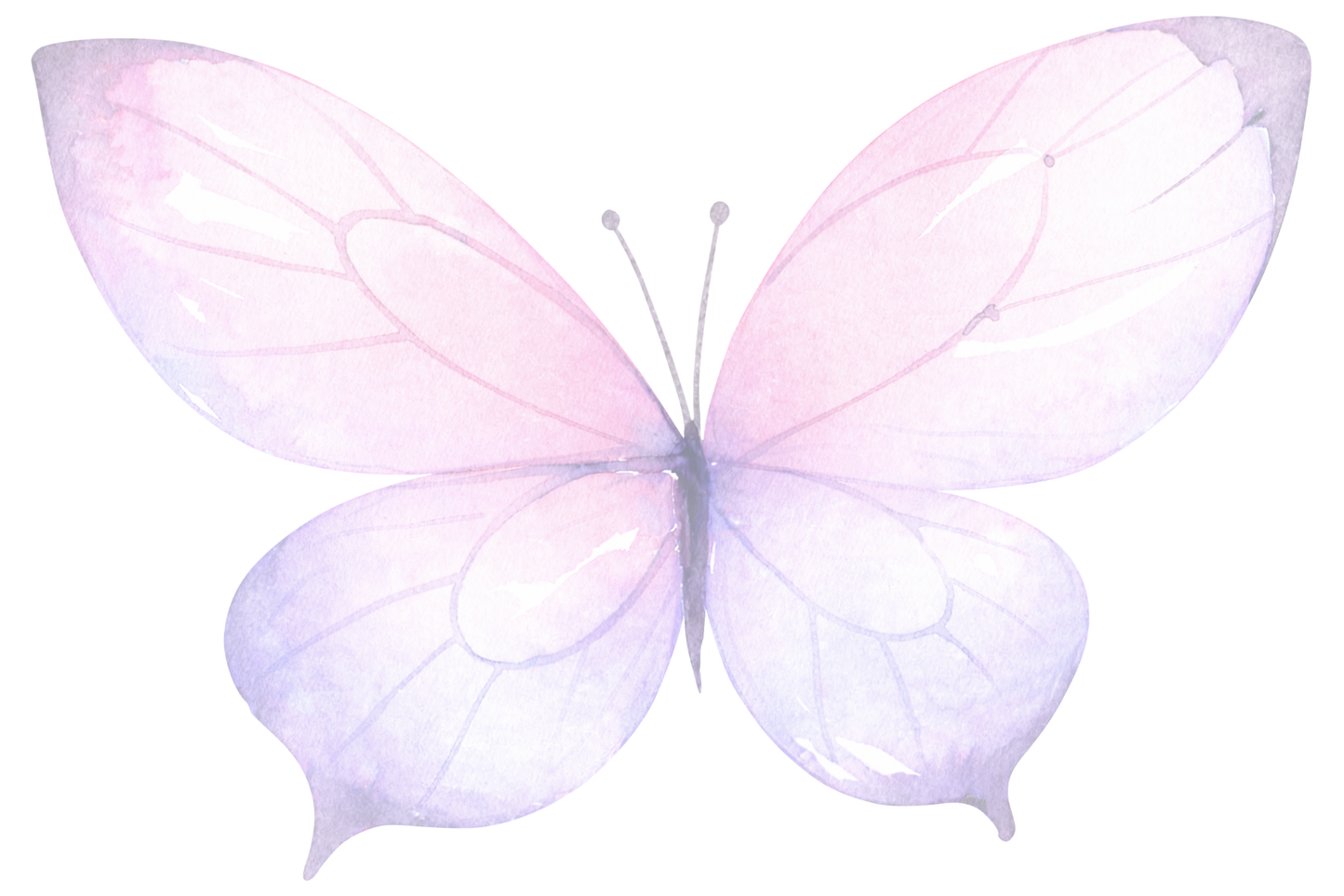 Butterfly Kisses